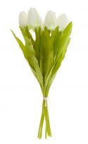 Strauß Tulpe, 6 Blüten, weiß, 40 cm