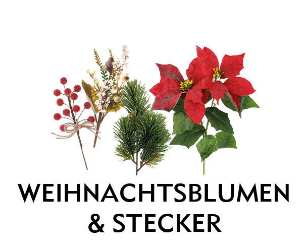 Weihnachtsblumen & -Stecker bei Nanu-Nana